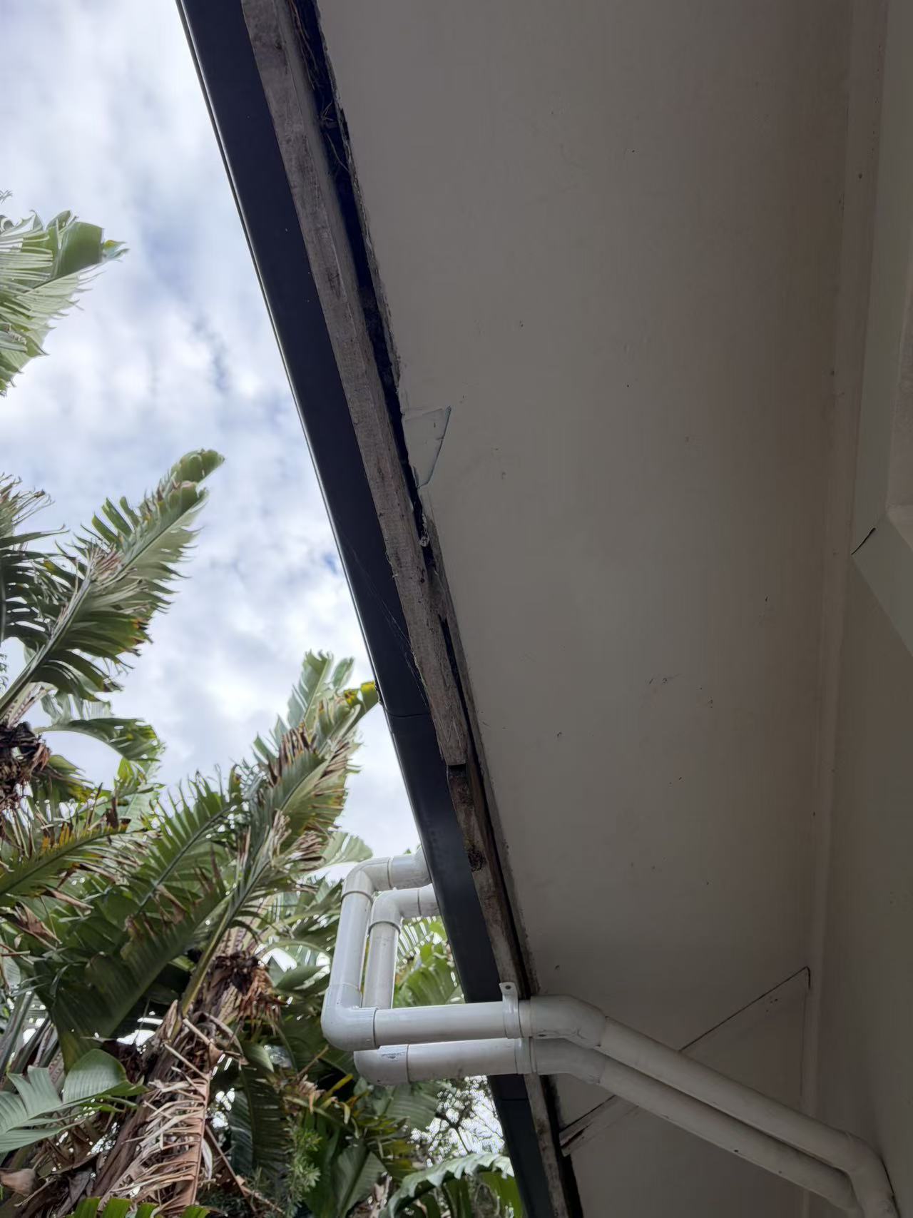 Exterior fascia and eaves timber repair area