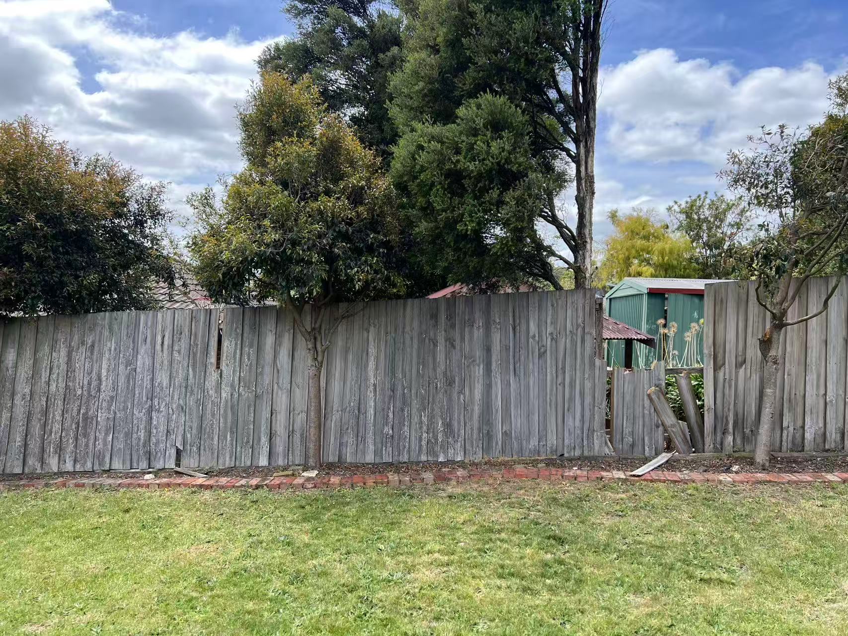 Aged backyard fence before renewal