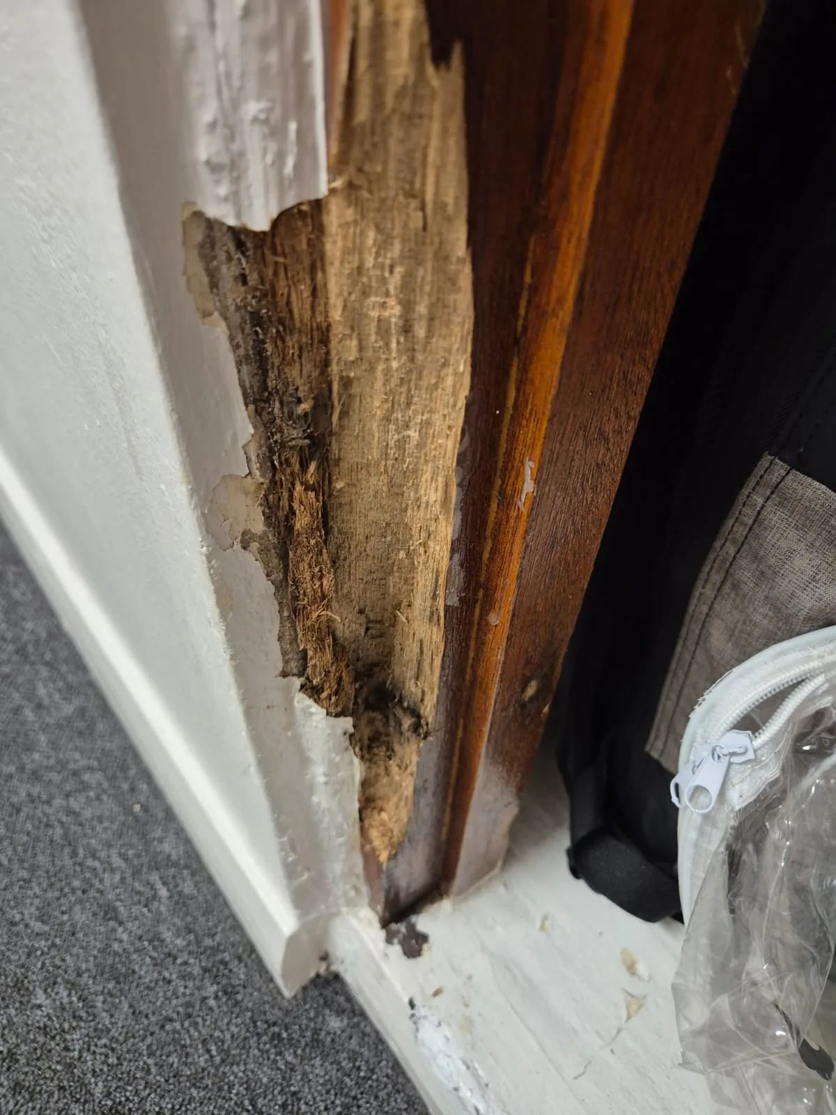 Damaged lower timber door jamb documented before repair assessment