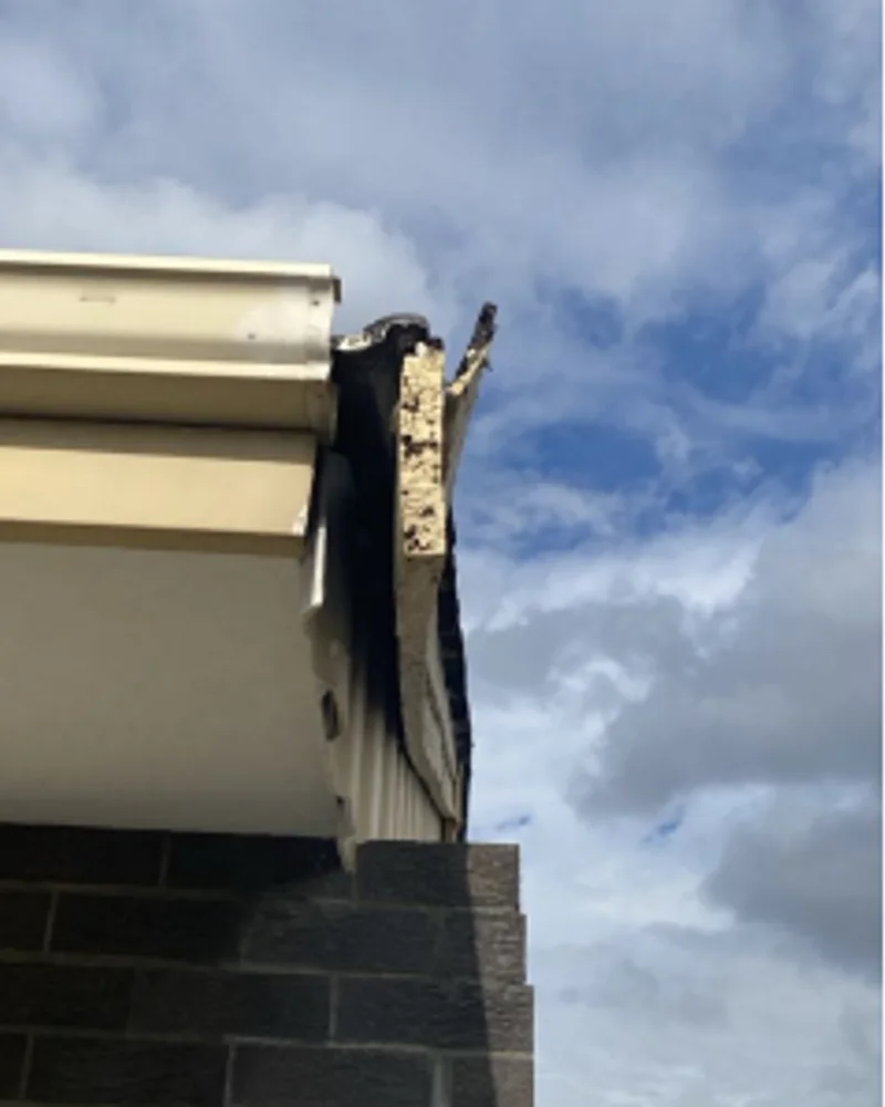 Damaged eaves and fascia edge beside the garage gutter